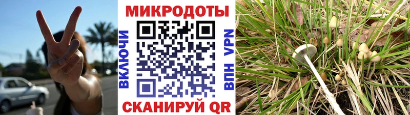 хочу   Тосно  Псилоцибиновые грибы GOLDEN TEACHER 