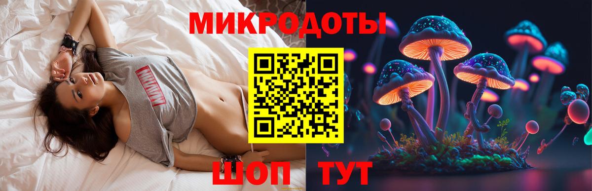 Галлюциногенные грибы Psilocybine cubensis Тосно